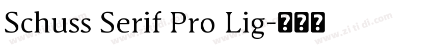 Schuss Serif Pro Lig字体转换